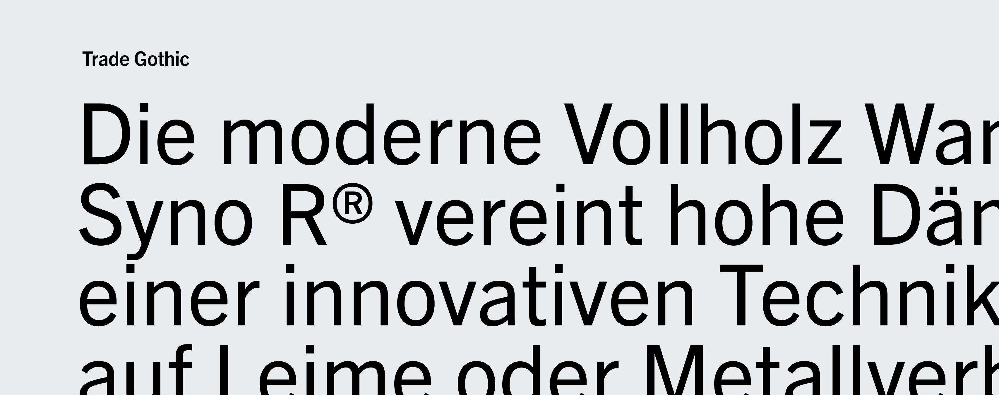 Typografie passend zur Corporate Identity von Syno R Typografie passend zur Corporate Identity von Syno R